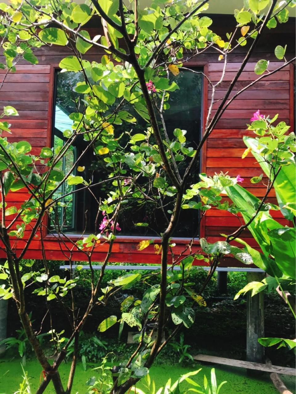 88 Homestay Bang Chak Buitenkant foto