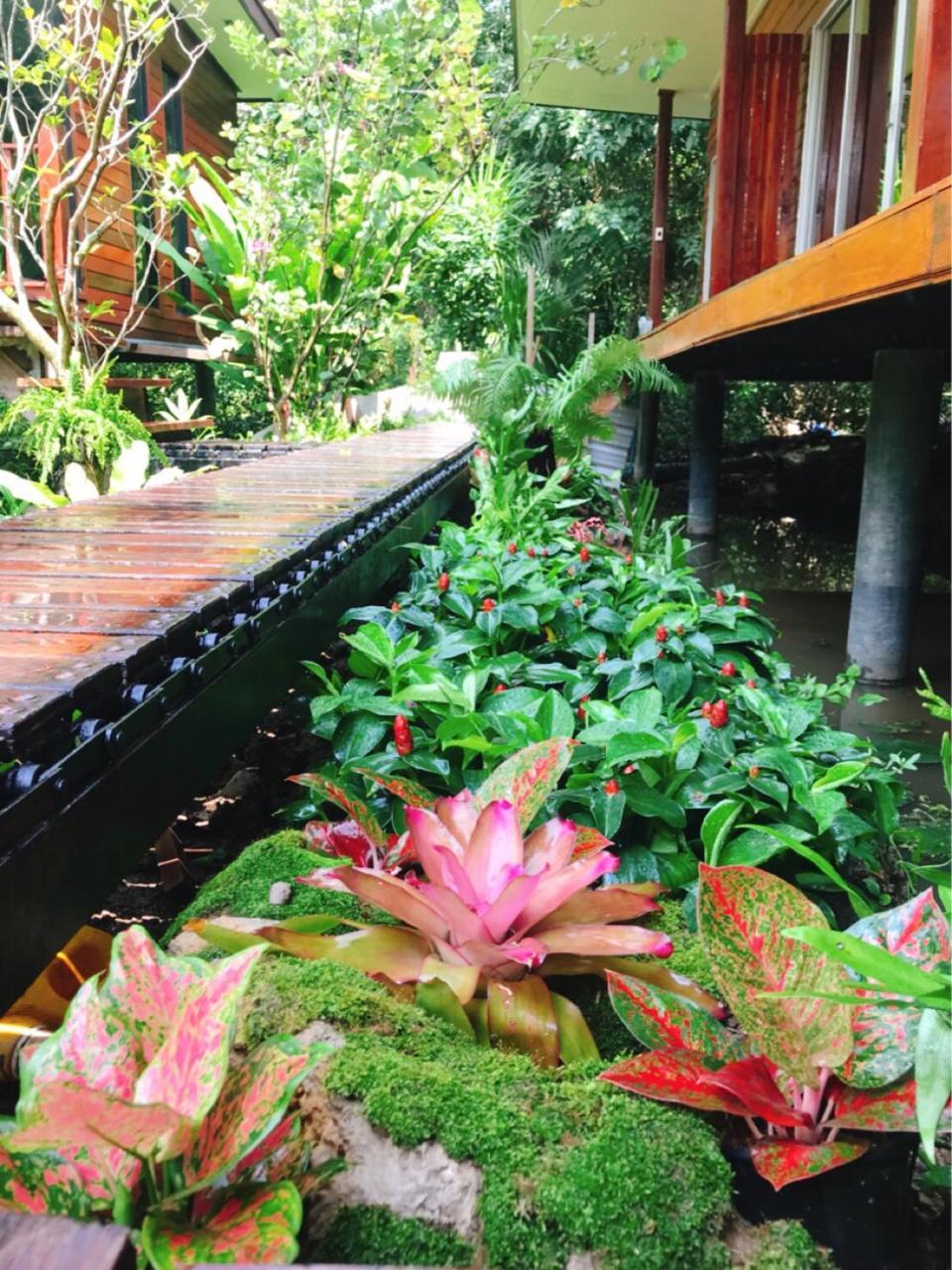 88 Homestay Bang Chak Buitenkant foto