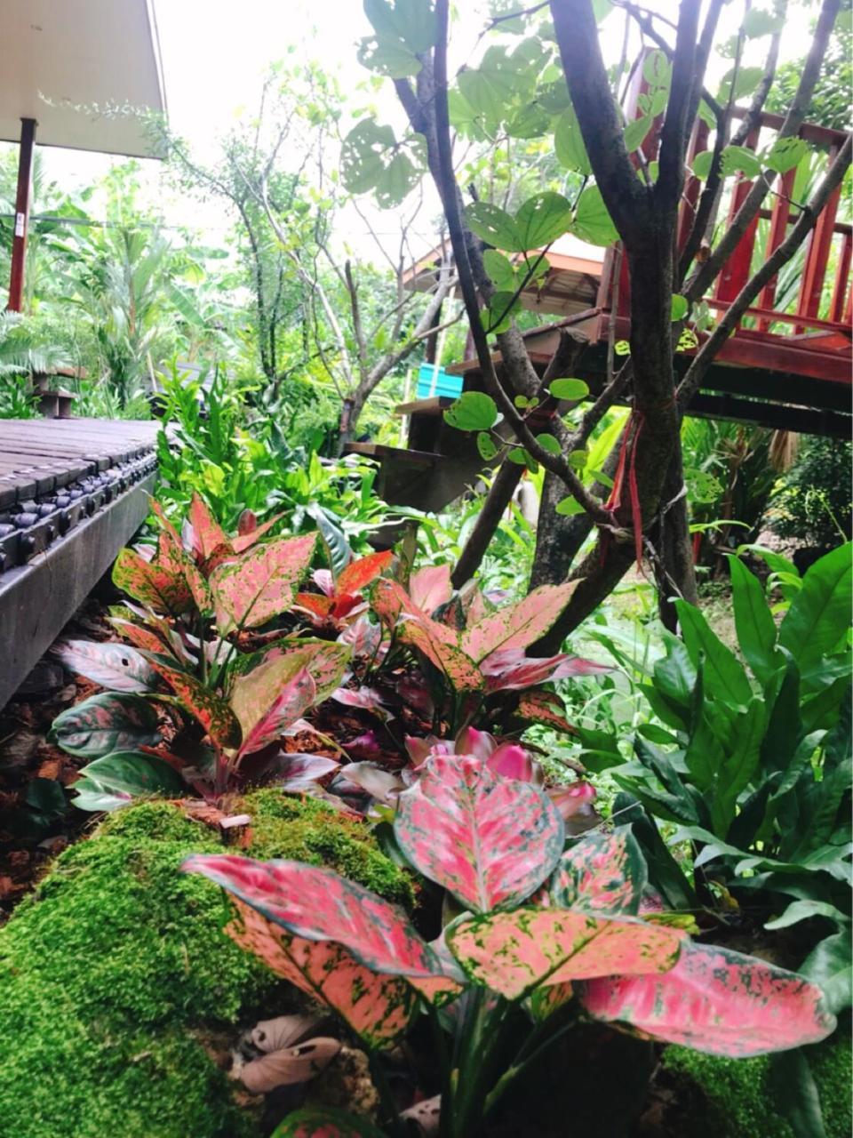 88 Homestay Bang Chak Buitenkant foto