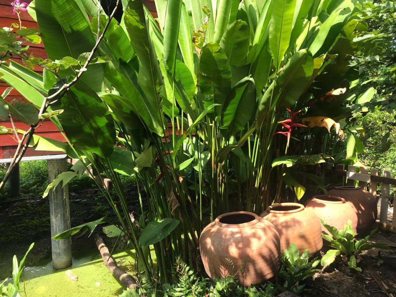 88 Homestay Bang Chak Buitenkant foto